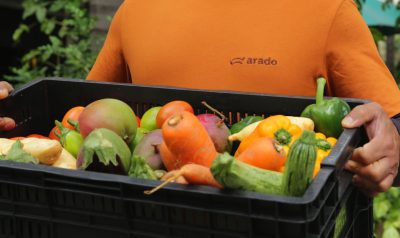 bpf alimentos